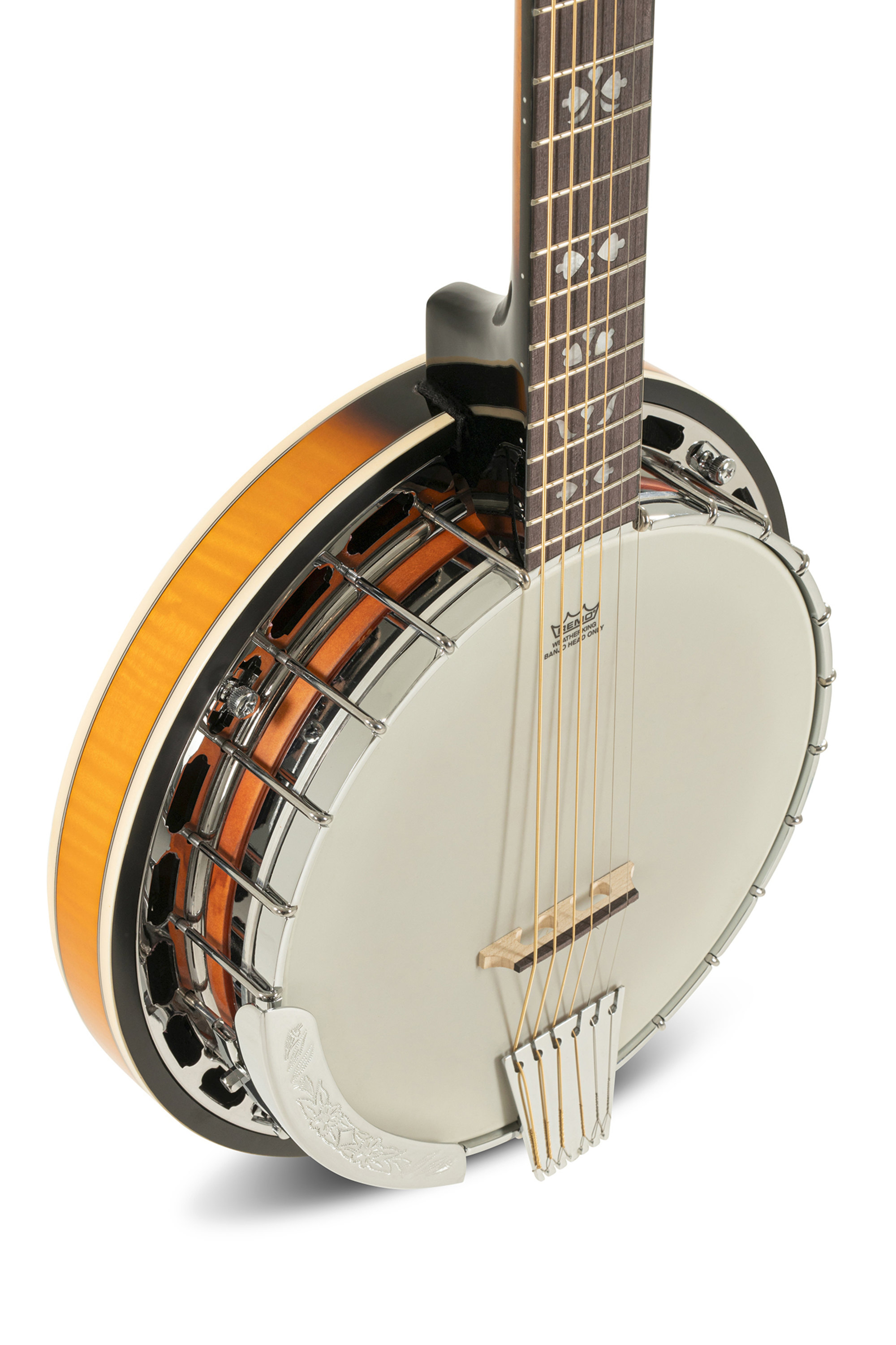 VGS Banjo Premium 6-string